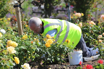 Community Volunteering Image